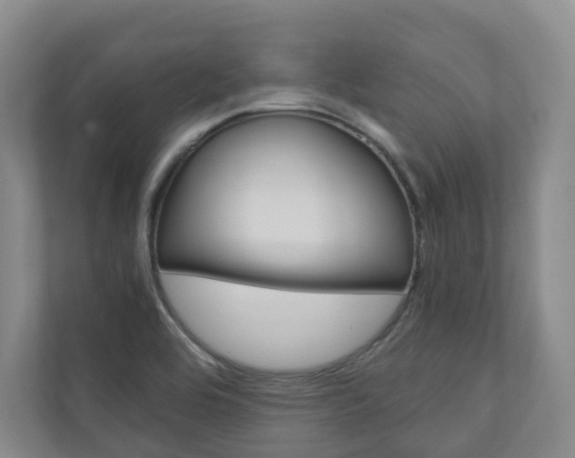 X0000111031464200906251108