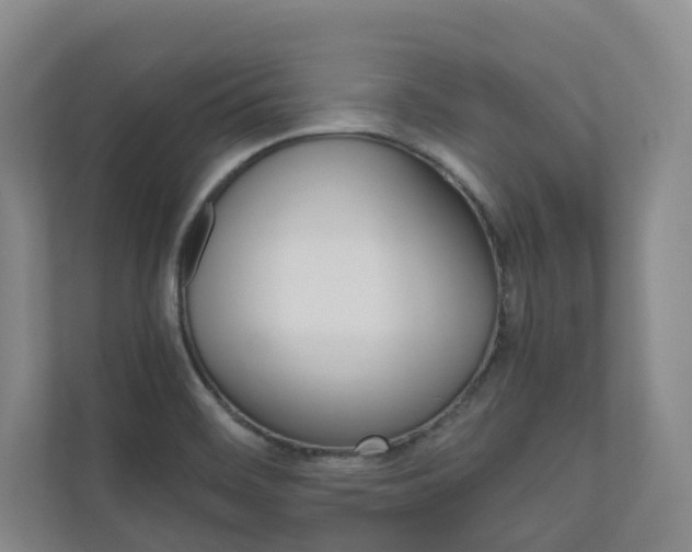 X0000111031468200906251108