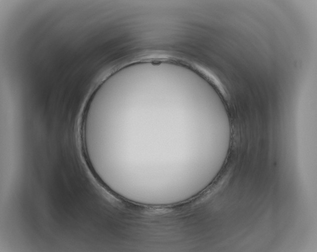 X0000111031475200906251108