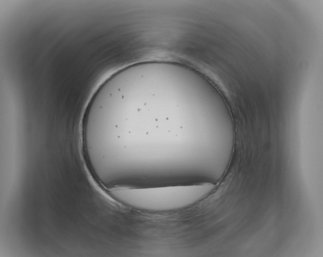X0000111031479200906251108