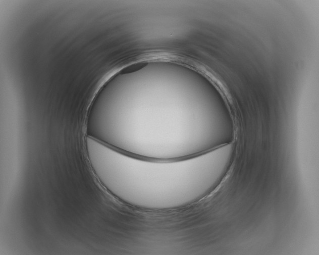 X0000111031481200906251108