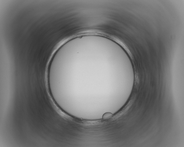 X0000111031482200906251108
