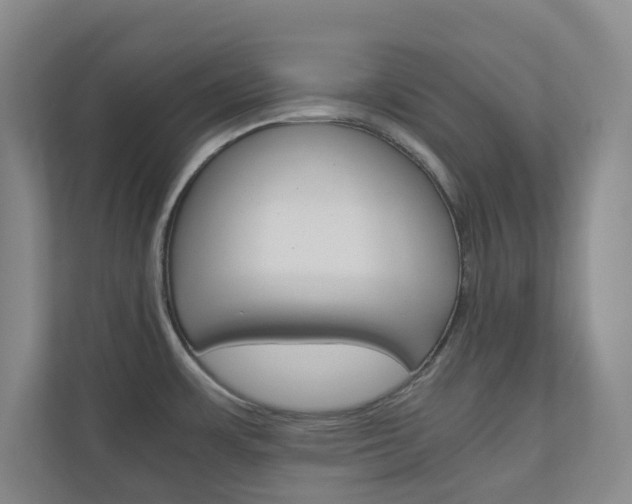 X0000111031483200906251108