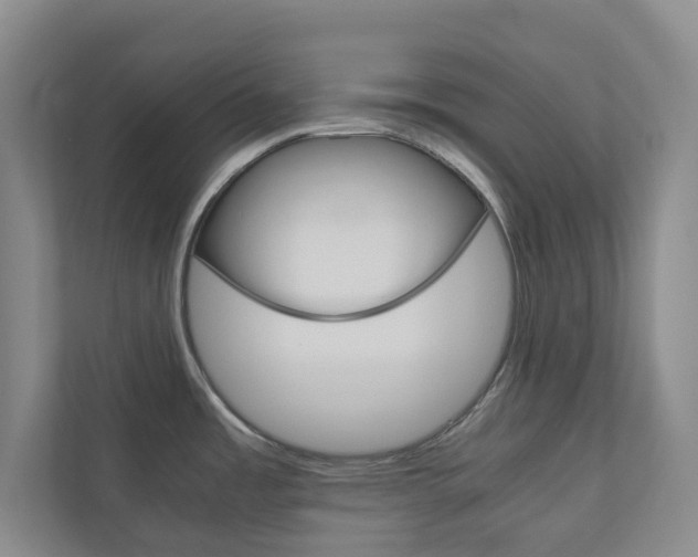 X0000111031485200906251108