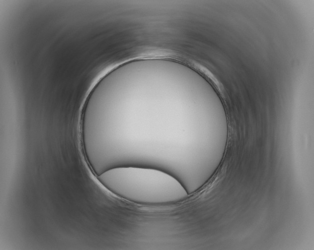 X0000111031487200906251108