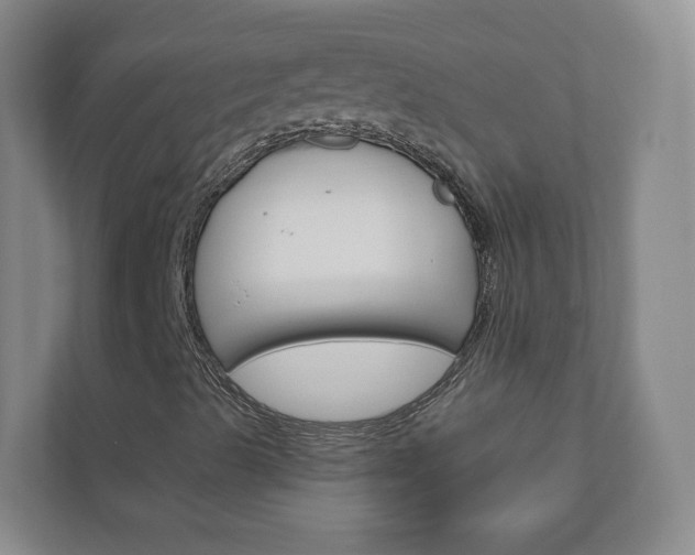 X0000111031489200906251107