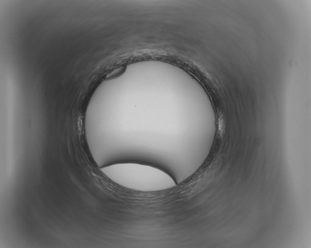 X0000111031492200906251107