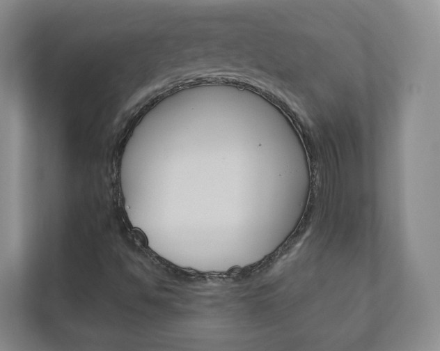 X0000111031494200906251107