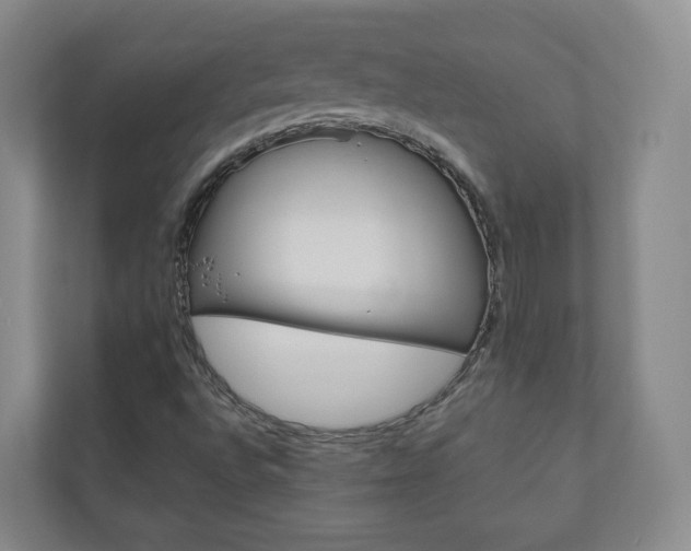 X0000111031496200906251107