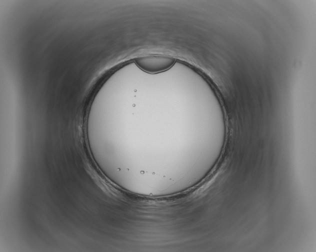 X0000111031499200906251107
