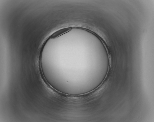 X0000111031500200906251107