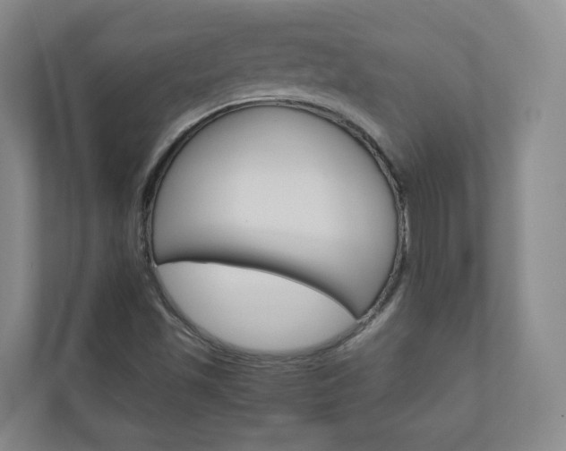 X0000111031501200906251107