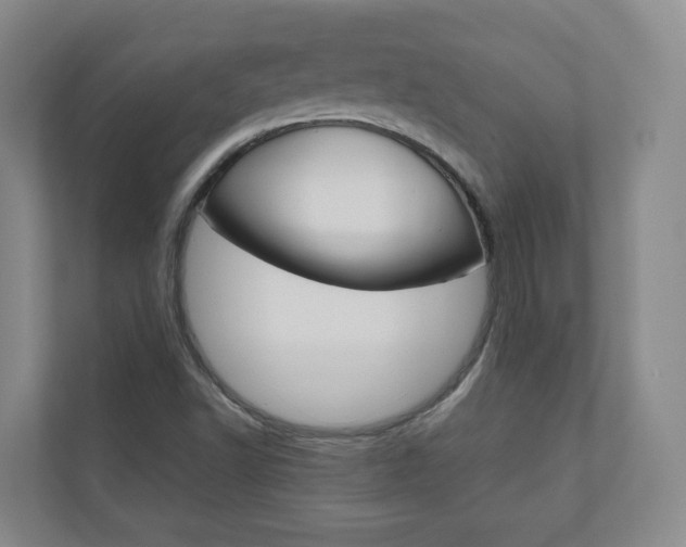 X0000111031502200906251107