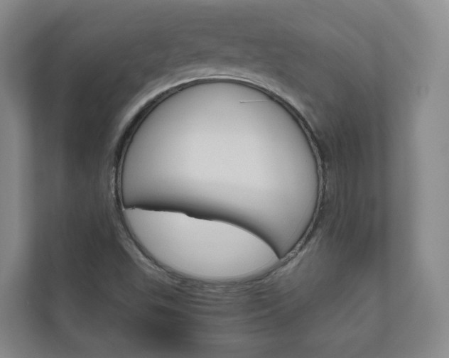 X0000111031503200906251107