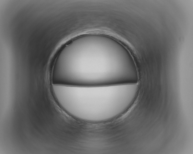 X0000111031506200906251107