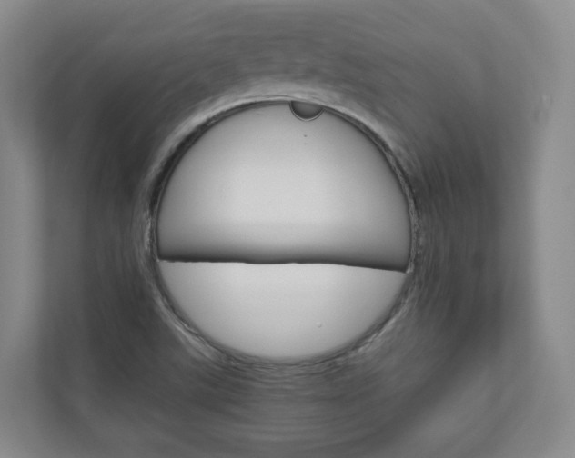 X0000111031507200906251107
