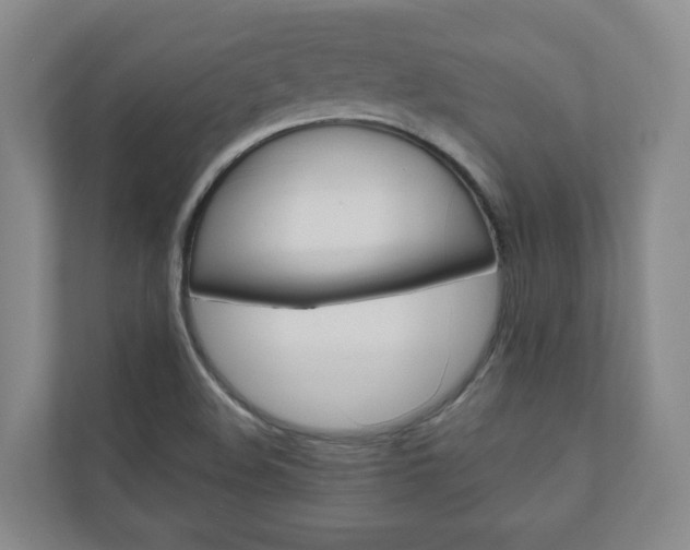 X0000111031508200906251107