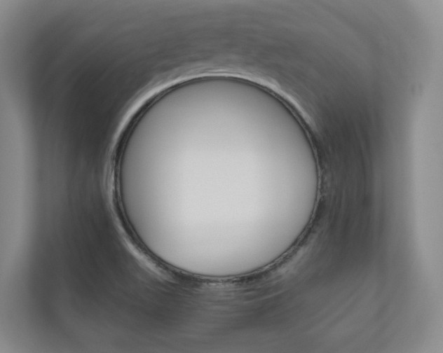 X0000111031511200906251107