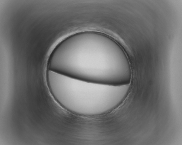 X0000111031512200906251107