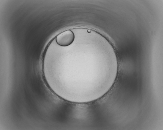 X0000111031514200906251107