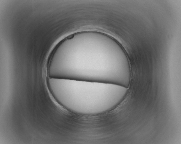X0000111031515200906251107