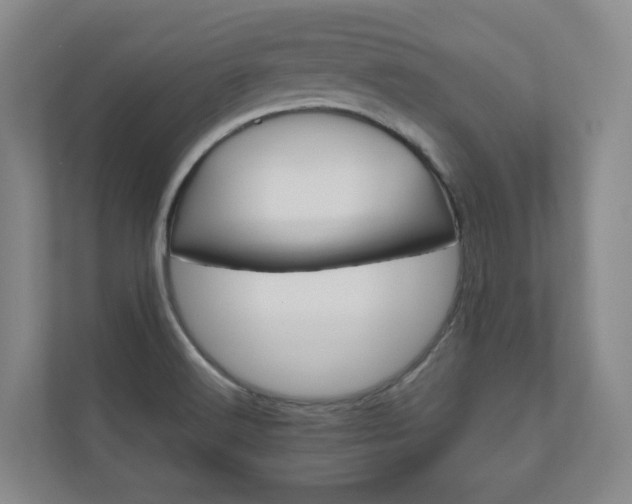 X0000111031516200906251107