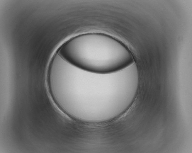 X0000111031518200906251107