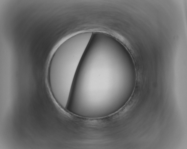 X0000111031520200906251107