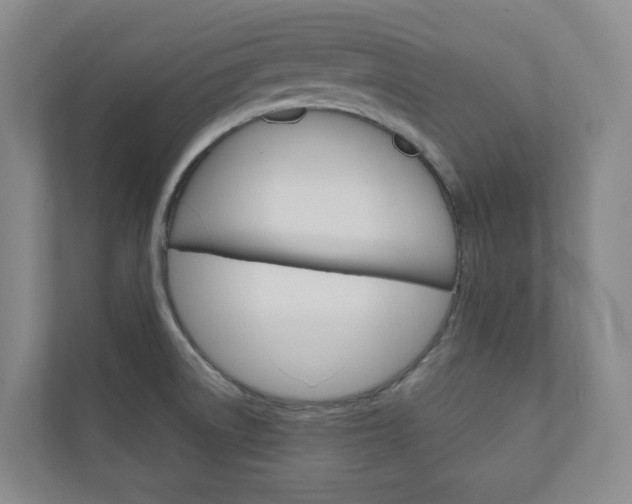 X0000111031522200906251107