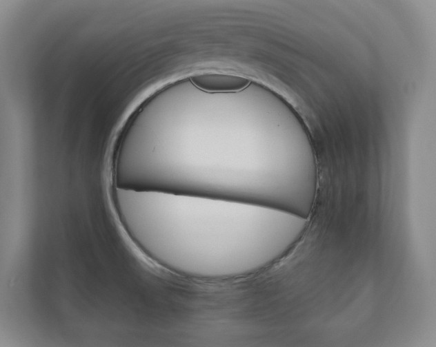 X0000111031523200906251107