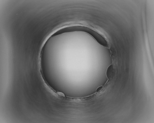 X0000111031524200906251107