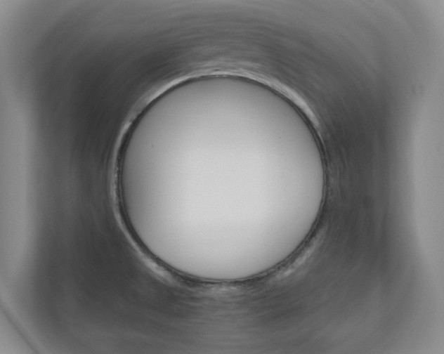 X0000111031525200906251107