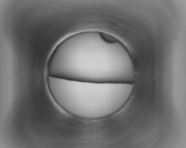 X0000111031526200906251107