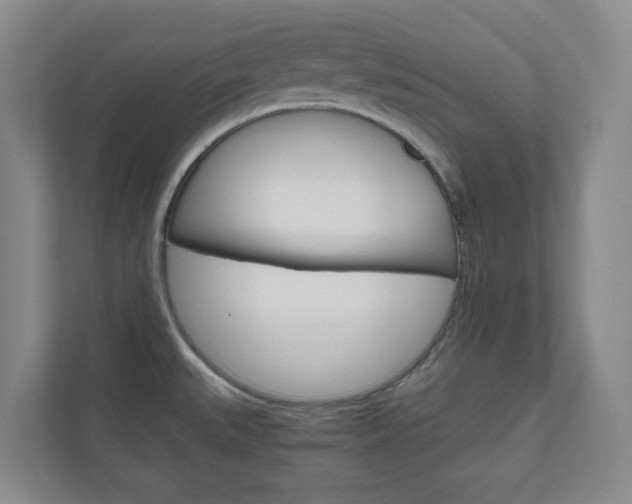 X0000111031527200906251107