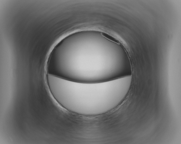 X0000111031528200906251107