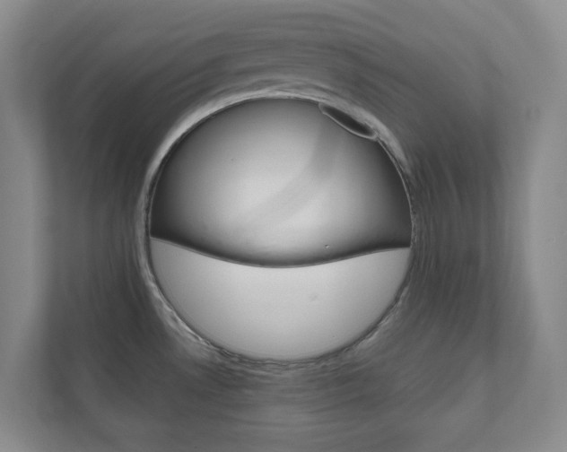 X0000111031530200906251107