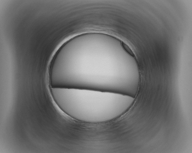 X0000111031531200906251107