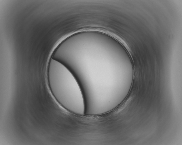 X0000111031533200906251107