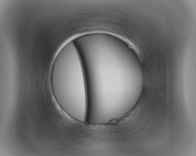 X0000111031534200906251108