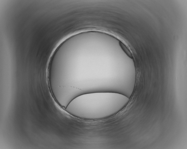 X0000111031535200906251108