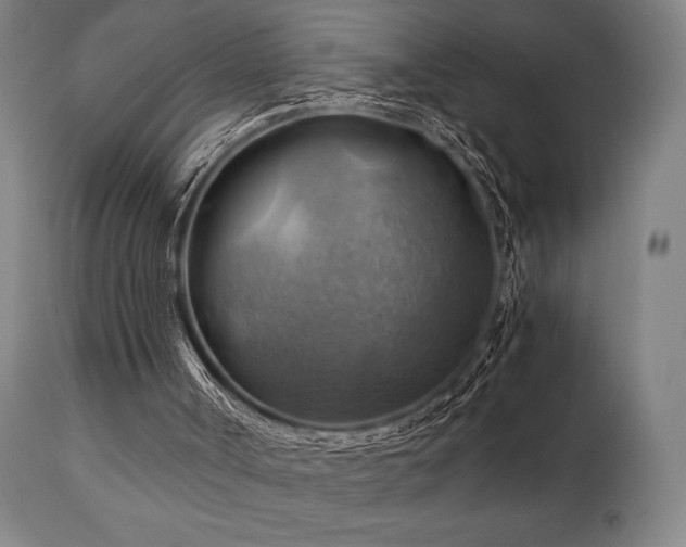 X0000111030002200906251316