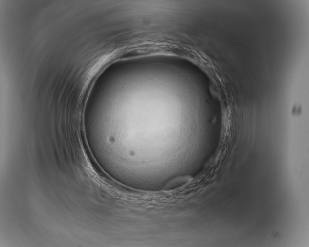 X0000111030003200906251316