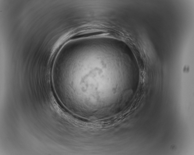 X0000111030004200906251316