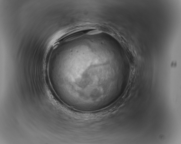 X0000111030006200906251316