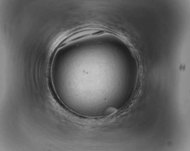 X0000111030007200906251316