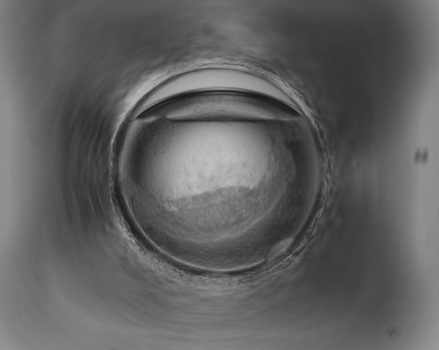 X0000111030008200906251316
