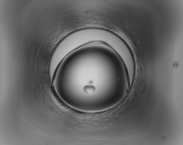 X0000111030009200906251316