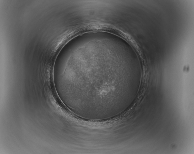 X0000111030010200906251316