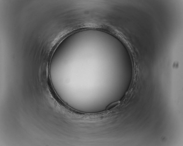 X0000111030011200906251316