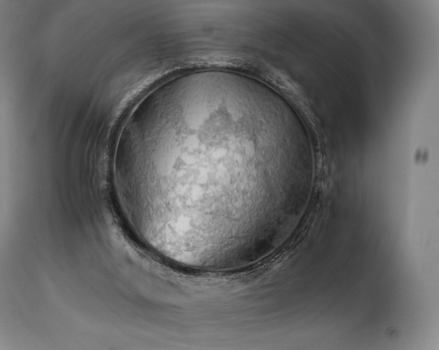 X0000111030012200906251316